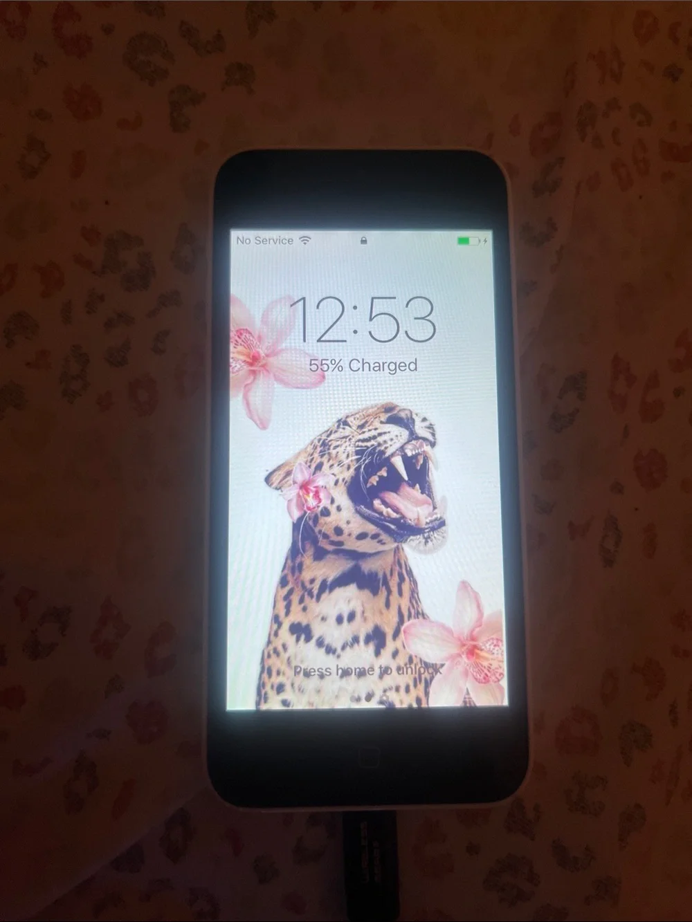 Apple iPhone 5c in Black with White Display
